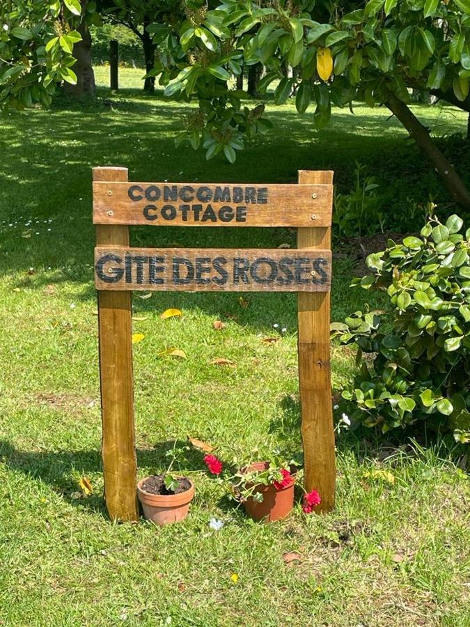 Gite Des Roses Le Grais Eksteriør billede